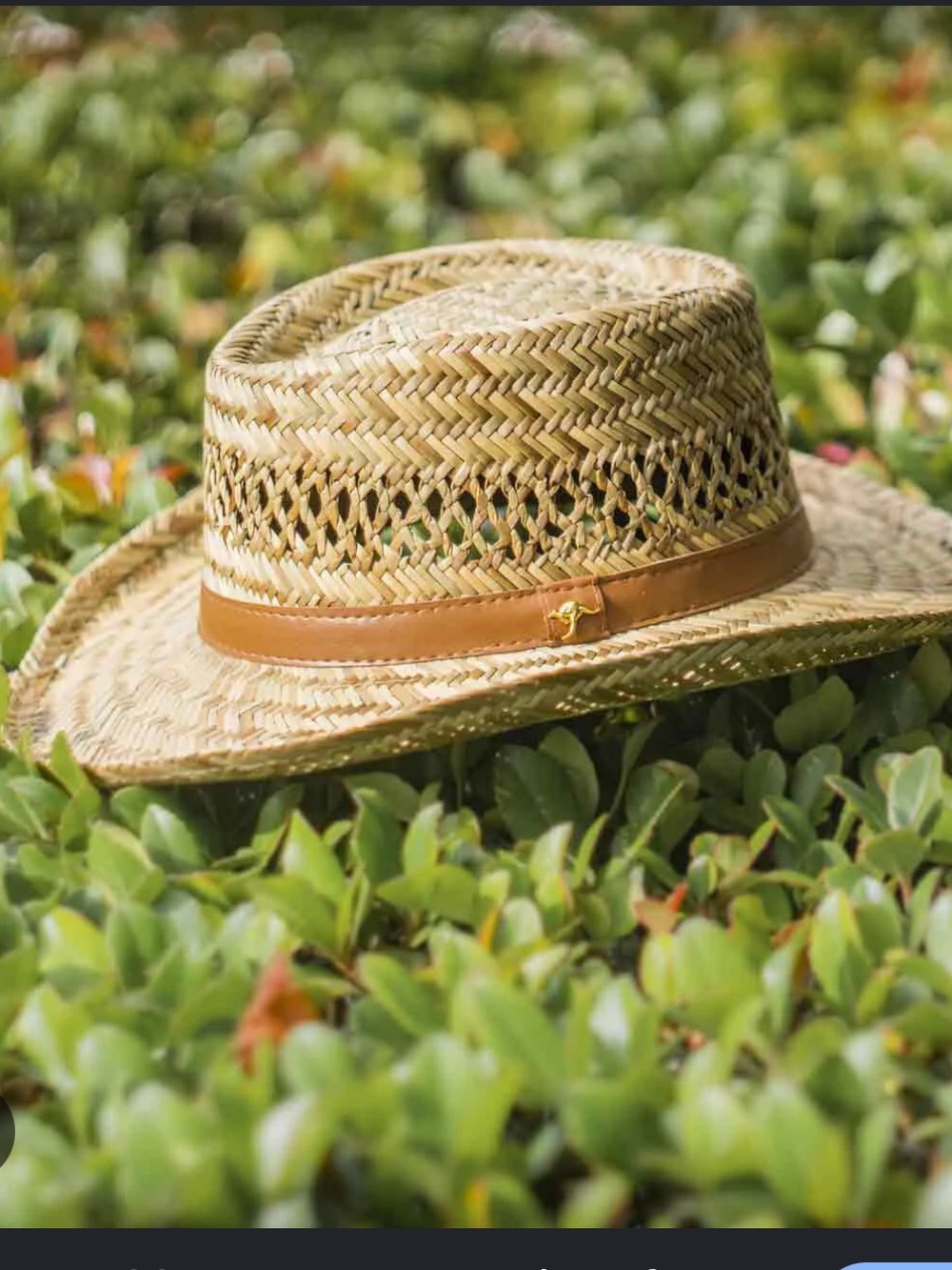 DORFMAN PACIFIC - MURRAY RUSH GAMBLER STRAW SUN HAT Medium